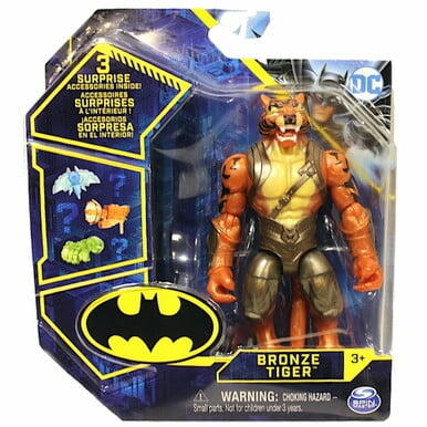 Bronze Tiger DC Heroes Unite Action Figure 4" with Accessories